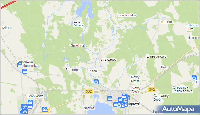 mapa Strzyżewo gmina Zbąszyń, Strzyżewo gmina Zbąszyń na mapie Targeo