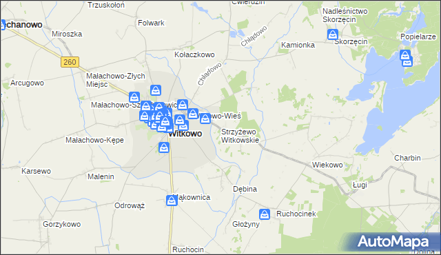 mapa Strzyżewo Witkowskie, Strzyżewo Witkowskie na mapie Targeo