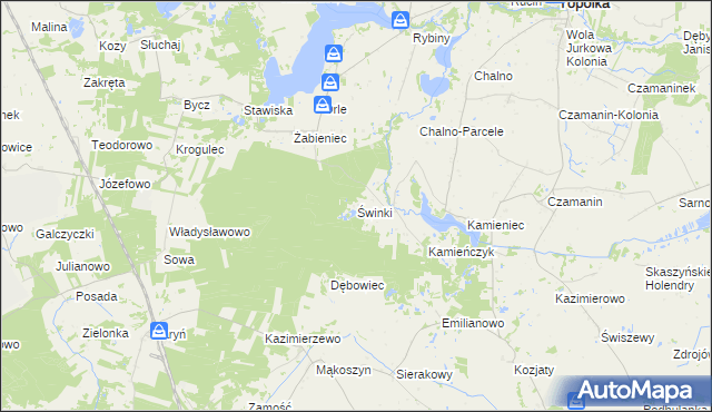 mapa Świnki gmina Topólka, Świnki gmina Topólka na mapie Targeo