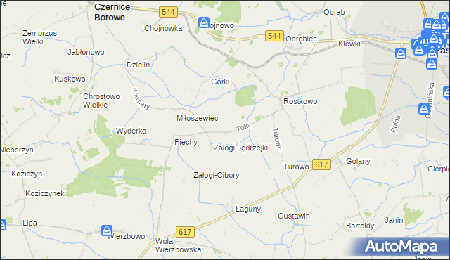 mapa Toki gmina Czernice Borowe, Toki gmina Czernice Borowe na mapie Targeo