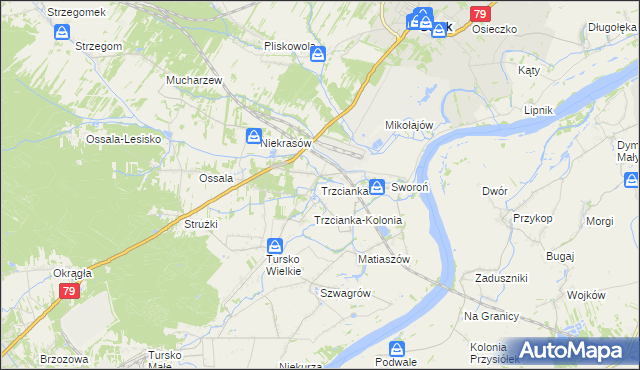 mapa Trzcianka gmina Osiek, Trzcianka gmina Osiek na mapie Targeo