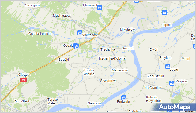 mapa Trzcianka-Kolonia gmina Osiek, Trzcianka-Kolonia gmina Osiek na mapie Targeo