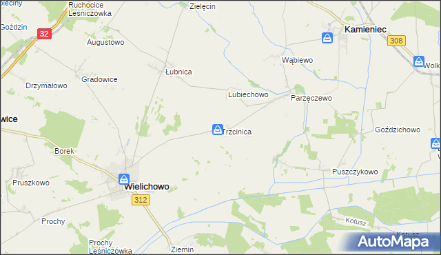 mapa Trzcinica gmina Wielichowo, Trzcinica gmina Wielichowo na mapie Targeo