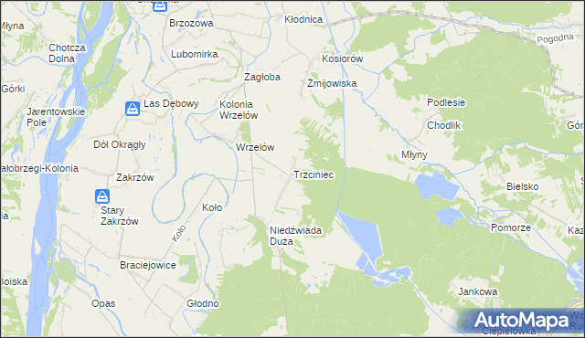 mapa Trzciniec gmina Łaziska, Trzciniec gmina Łaziska na mapie Targeo