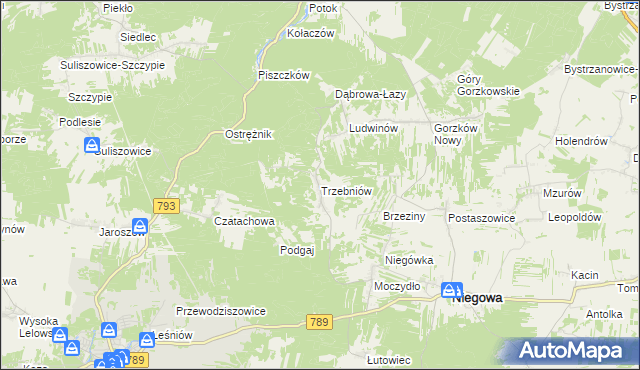 mapa Trzebniów, Trzebniów na mapie Targeo