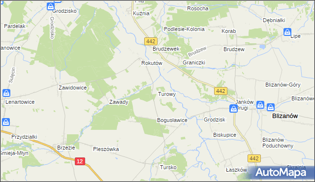 mapa Turowy, Turowy na mapie Targeo