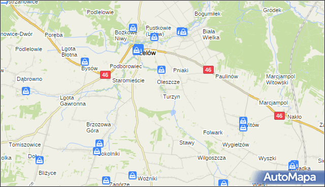 mapa Turzyn gmina Lelów, Turzyn gmina Lelów na mapie Targeo