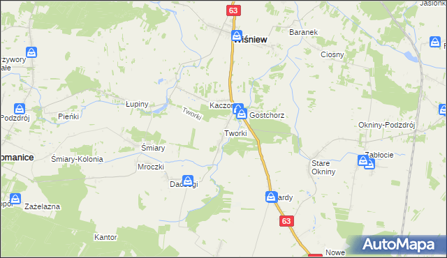 mapa Tworki gmina Wiśniew, Tworki gmina Wiśniew na mapie Targeo