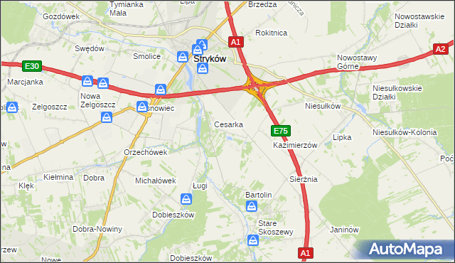 mapa Warszewice gmina Stryków, Warszewice gmina Stryków na mapie Targeo