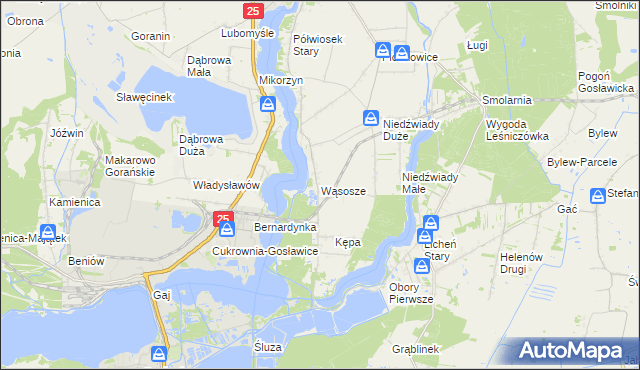 mapa Wąsosze gmina Ślesin, Wąsosze gmina Ślesin na mapie Targeo