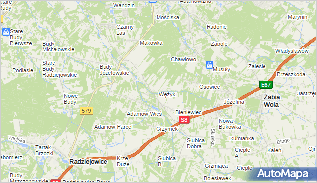 mapa Wężyk, Wężyk na mapie Targeo