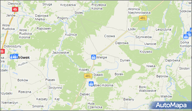 mapa Wielgie gmina Ostrówek, Wielgie gmina Ostrówek na mapie Targeo