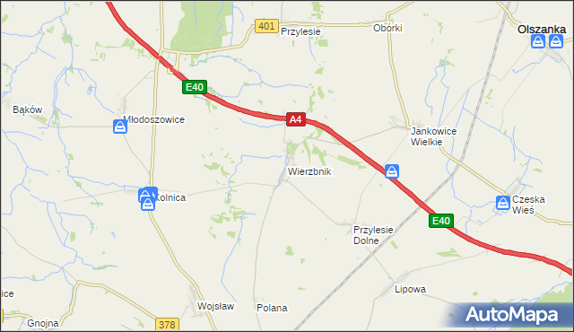 mapa Wierzbnik gmina Grodków, Wierzbnik gmina Grodków na mapie Targeo