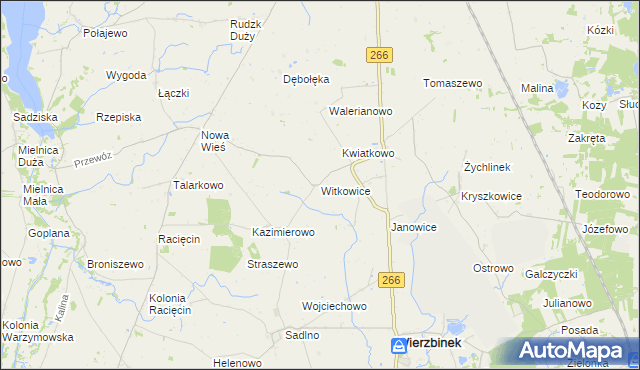 mapa Witkowice gmina Wierzbinek, Witkowice gmina Wierzbinek na mapie Targeo