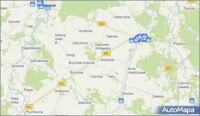 mapa Witoldów gmina Widawa, Witoldów gmina Widawa na mapie Targeo