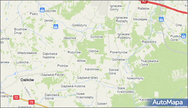 mapa Włodzimierzów gmina Dalików, Włodzimierzów gmina Dalików na mapie Targeo