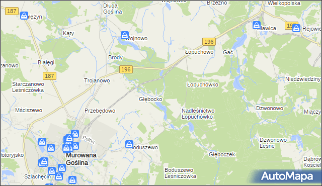 mapa Worowo gmina Murowana Goślina, Worowo gmina Murowana Goślina na mapie Targeo