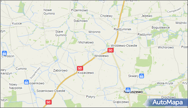 mapa Wróblewo gmina Naruszewo, Wróblewo gmina Naruszewo na mapie Targeo