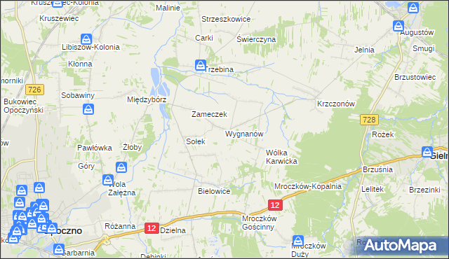 mapa Wygnanów gmina Opoczno, Wygnanów gmina Opoczno na mapie Targeo