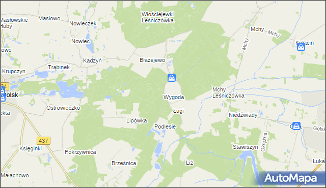 mapa Wygoda gmina Dolsk, Wygoda gmina Dolsk na mapie Targeo