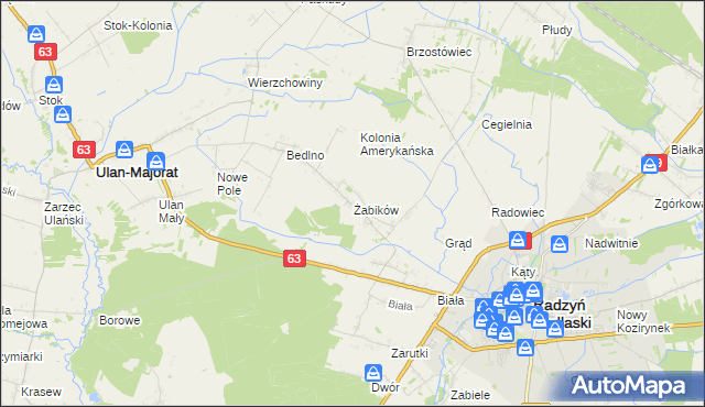 mapa Żabików gmina Radzyń Podlaski, Żabików gmina Radzyń Podlaski na mapie Targeo