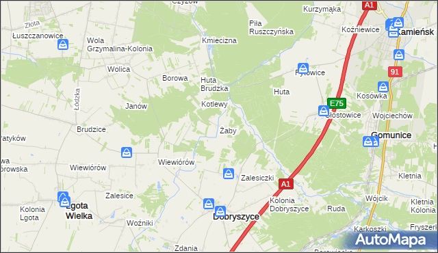 mapa Żaby gmina Dobryszyce, Żaby gmina Dobryszyce na mapie Targeo