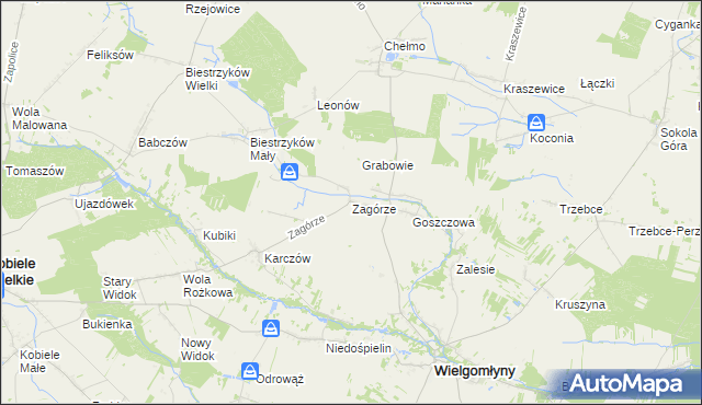 mapa Zagórze gmina Wielgomłyny, Zagórze gmina Wielgomłyny na mapie Targeo