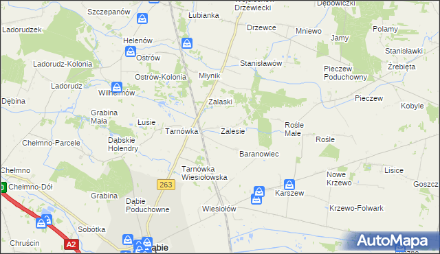 mapa Zalesie gmina Dąbie, Zalesie gmina Dąbie na mapie Targeo