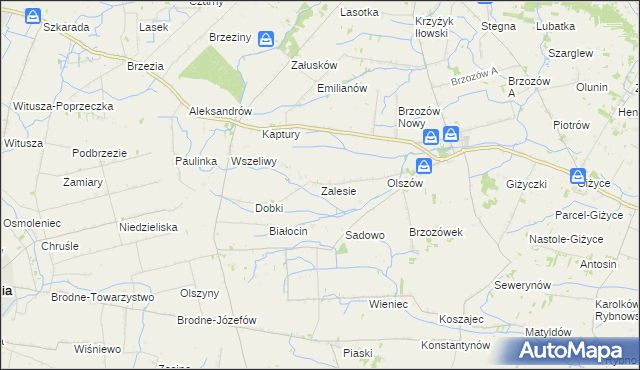 mapa Zalesie gmina Iłów, Zalesie gmina Iłów na mapie Targeo