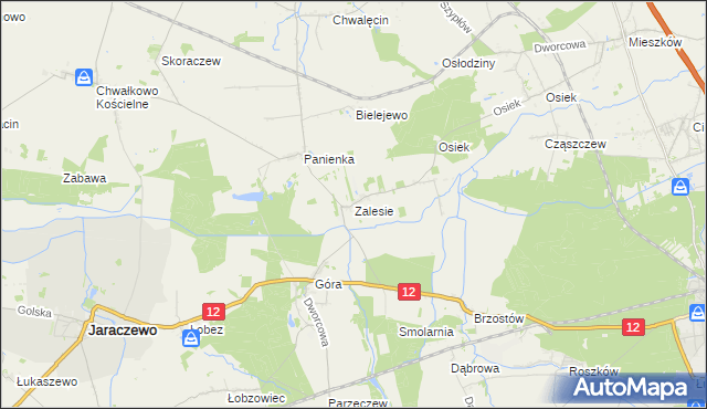 mapa Zalesie gmina Jaraczewo, Zalesie gmina Jaraczewo na mapie Targeo
