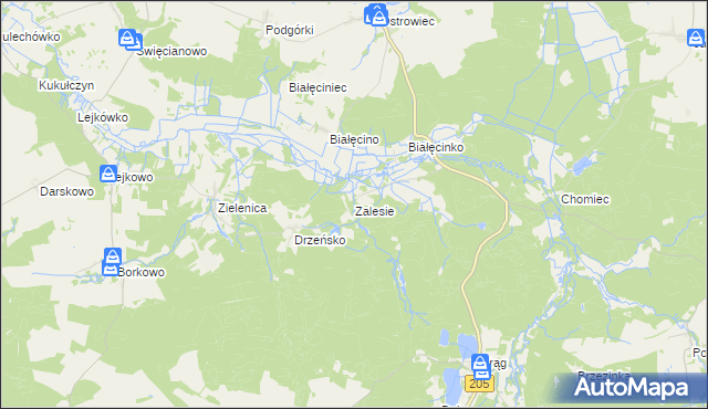 mapa Zalesie gmina Malechowo, Zalesie gmina Malechowo na mapie Targeo