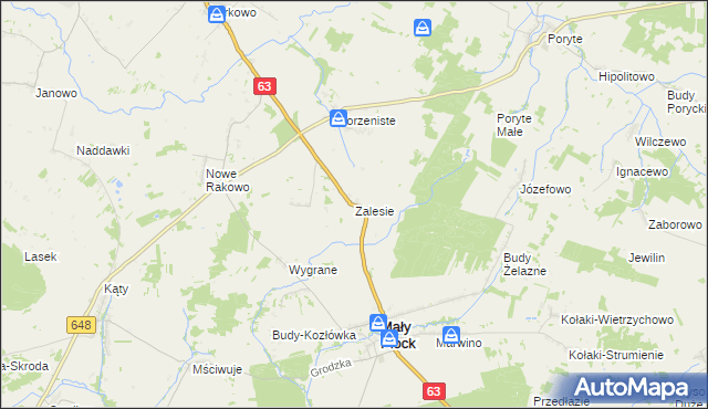 mapa Zalesie gmina Mały Płock, Zalesie gmina Mały Płock na mapie Targeo