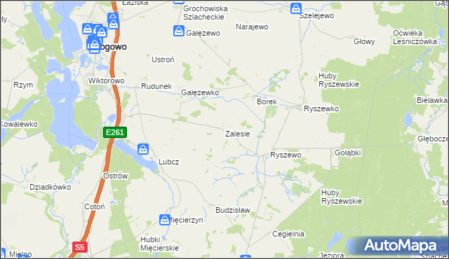 mapa Zalesie gmina Rogowo, Zalesie gmina Rogowo na mapie Targeo