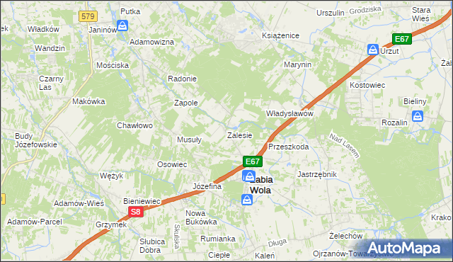 mapa Zalesie gmina Żabia Wola, Zalesie gmina Żabia Wola na mapie Targeo
