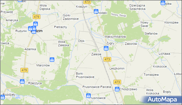 mapa Zalesie gmina Zadzim, Zalesie gmina Zadzim na mapie Targeo