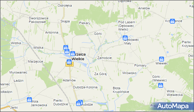 mapa Zamoście gmina Strzelce Wielkie, Zamoście gmina Strzelce Wielkie na mapie Targeo