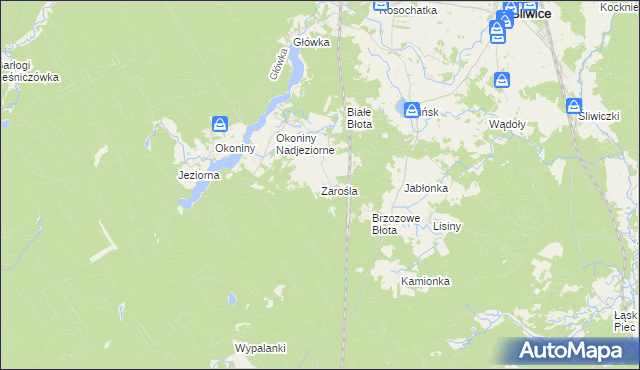 mapa Zarośla gmina Śliwice, Zarośla gmina Śliwice na mapie Targeo