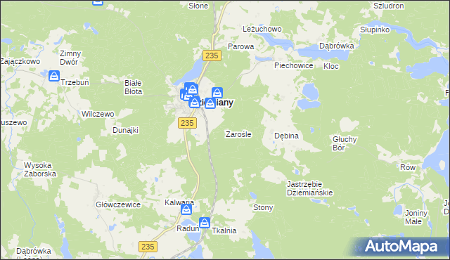 mapa Zarośle gmina Dziemiany, Zarośle gmina Dziemiany na mapie Targeo