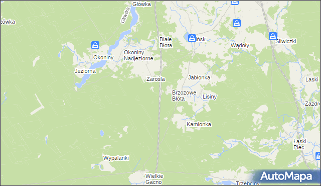 mapa Zarośle gmina Śliwice, Zarośle gmina Śliwice na mapie Targeo