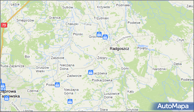 mapa Żdżary gmina Radgoszcz, Żdżary gmina Radgoszcz na mapie Targeo