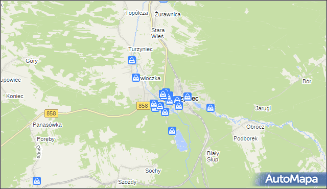 mapa Zwierzyniec powiat zamojski, Zwierzyniec powiat zamojski na mapie Targeo