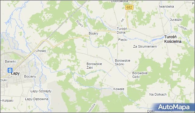 mapa Borowskie Olki, Borowskie Olki na mapie Targeo