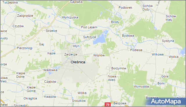 mapa Wojnów gmina Oleśnica, Wojnów gmina Oleśnica na mapie Targeo