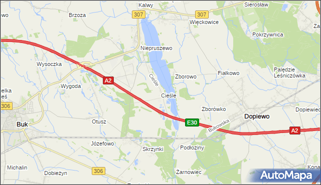 mapa Cieśle gmina Buk, Cieśle gmina Buk na mapie Targeo