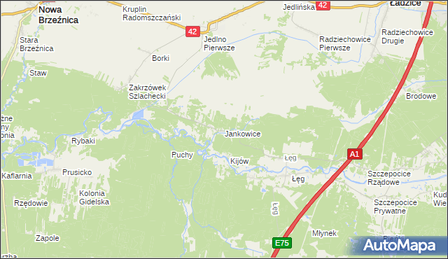 mapa Jankowice gmina Ładzice, Jankowice gmina Ładzice na mapie Targeo