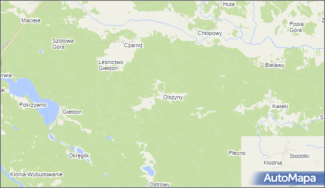 mapa Olszyny gmina Czersk, Olszyny gmina Czersk na mapie Targeo