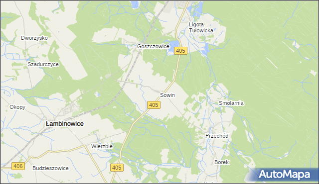 mapa Sowin gmina Łambinowice, Sowin gmina Łambinowice na mapie Targeo