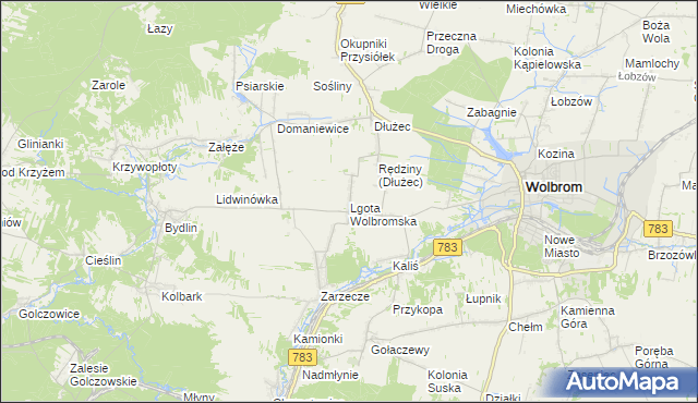 mapa Lgota Wolbromska, Lgota Wolbromska na mapie Targeo