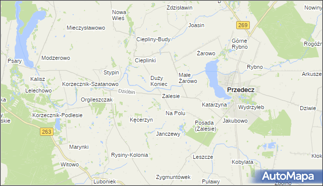 mapa Zalesie gmina Przedecz, Zalesie gmina Przedecz na mapie Targeo