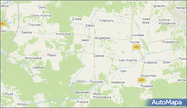 mapa Zalesie gmina Zelów, Zalesie gmina Zelów na mapie Targeo